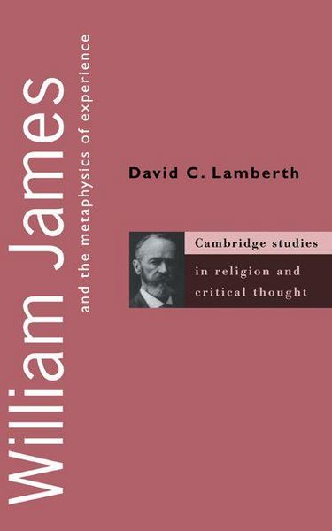 Produktbild: William James and the Metaphysics of Experience
