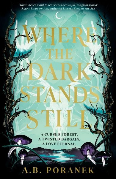 Where the Dark Stands Still, Gebundene Ausgabe von A. B. Poranek, Penguin Books UK, 9780241622155