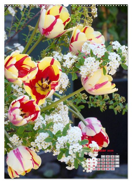 Produktbild: Ein buntes Tulpenjahr (Wandkalender 2026 DIN A2 hoch), CALVENDO Monatskalender