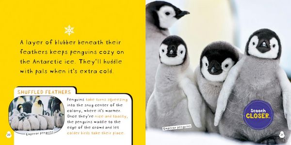 Produktbild: So Cute: Penguins
