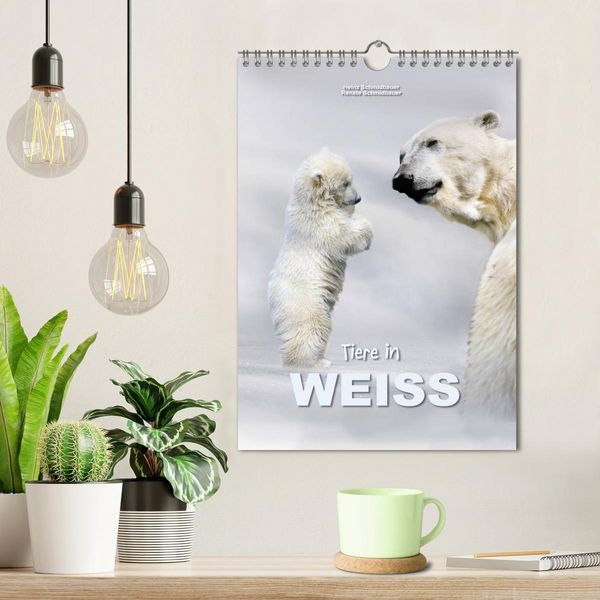 Produktbild: Tiere in Wei&szlig; (Wandkalender 2026 DIN A4 hoch), CALVENDO Monatskalender