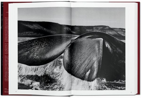 Produktbild: Sebasti&atilde;o Salgado. GENESIS