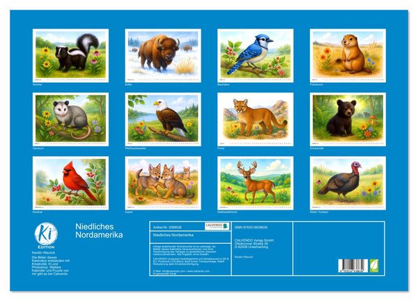 Produktbild: Niedliches Nordamerika (Wandkalender 2026 DIN A2 quer), CALVENDO Monatskalender