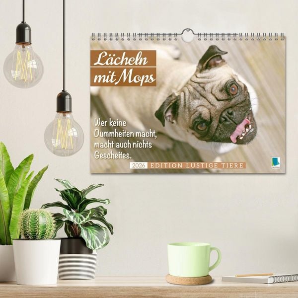 Produktbild: L&auml;cheln mit Mops (Wandkalender 2026 DIN A4 quer), CALVENDO Monatskalender
