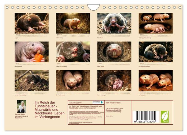Produktbild: Im Reich der Tunnelbauer - Maulw&uuml;rfe und Nacktmulle, Leben im Verborgenen (Wandkalender 2027 DIN A4 quer), CALVENDO Monatskalender