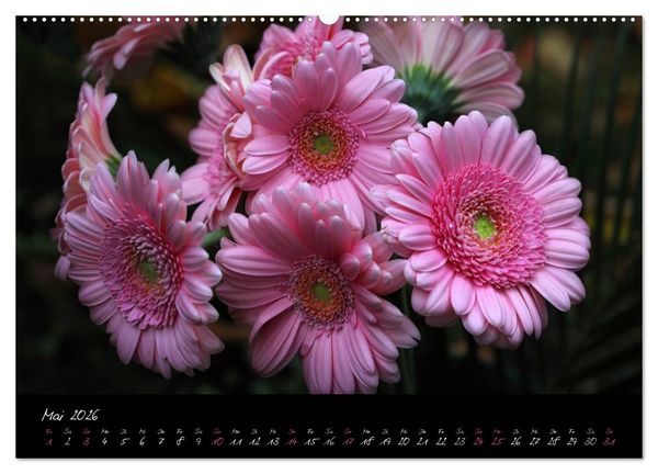 Produktbild: Florales Sonett - Visuelle Musik der Blumen (Wandkalender 2026 DIN A2 quer), CALVENDO Monatskalender
