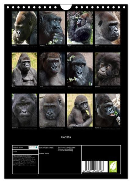 Produktbild: Gorillas (Wandkalender 2026 DIN A4 hoch), CALVENDO Monatskalender