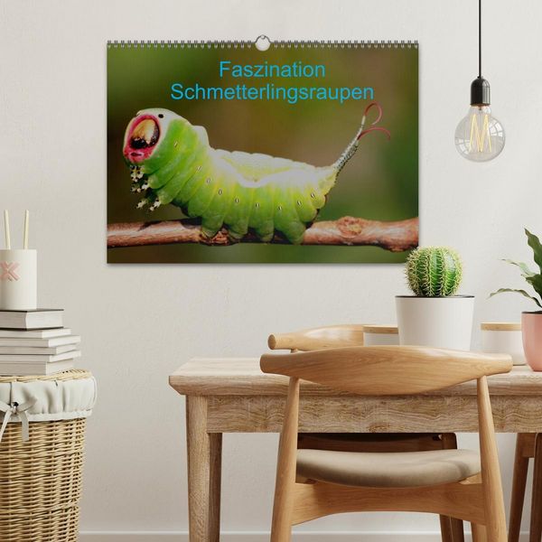 Produktbild: Faszination Schmetterlingsraupen (Wandkalender 2026 DIN A3 quer), CALVENDO Monatskalender