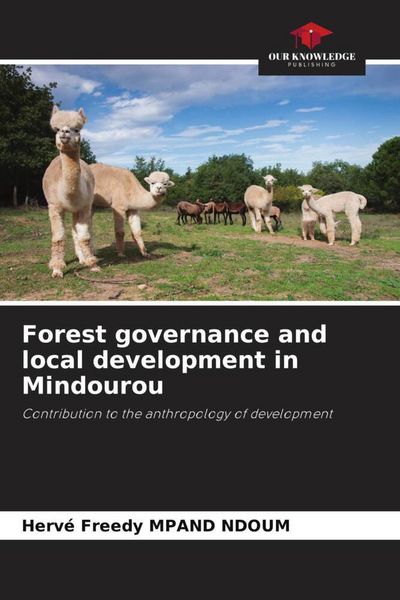 Produktbild: Forest governance and local development in Mindourou