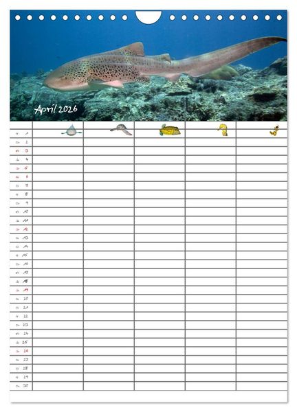 Produktbild: Der Unterwasser Familienplaner 2026 (Wandkalender 2026 DIN A4 hoch), CALVENDO Monatskalender