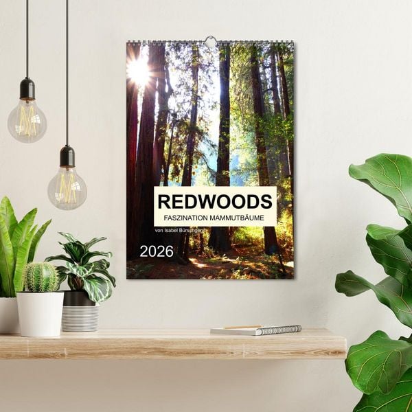 Produktbild: Redwoods - Faszination Mammutb&auml;ume (Wandkalender 2026 DIN A3 hoch), CALVENDO Monatskalender