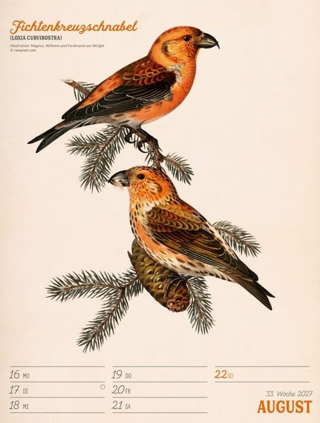Produktbild: Wunderbare Vogelwelt Wochenplaner Kalender 2027