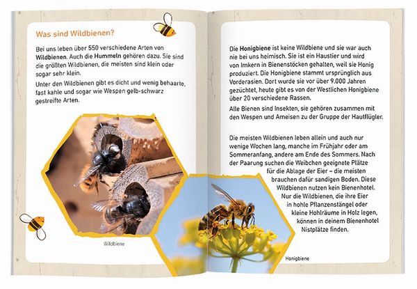 Produktbild: Expedition Natur Bienenhotel