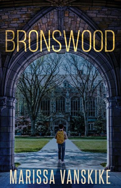 Produktbild: Bronswood (How It Had To Be, #2)
