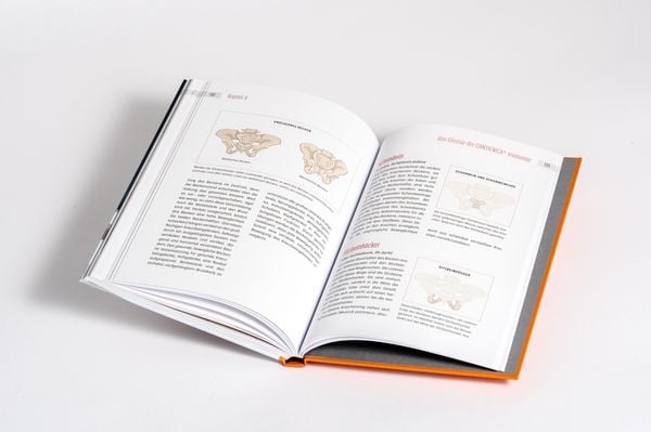 Produktbild: Beckenbodentraining mit Tigerfeeling