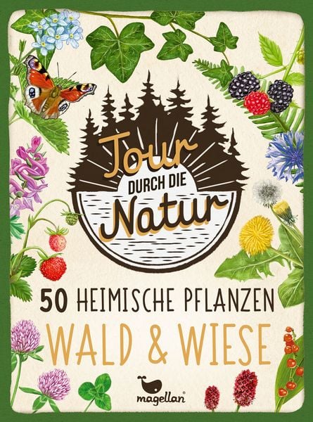 Produktbild: Tour durch die Natur - 50 heimische Pflanzen - Wald & Wiese