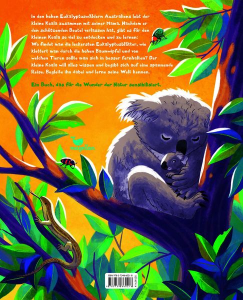 Produktbild: Der kleine Koala - Zu Hause im Eukalyptus