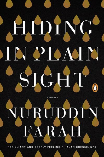 Produktbild: Hiding in Plain Sight