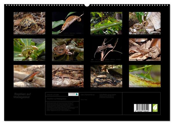 Produktbild: Reptilien auf Madagaskar (hochwertiger Premium Wandkalender 2027 DIN A2 quer), Kunstdruck in Hochglanz