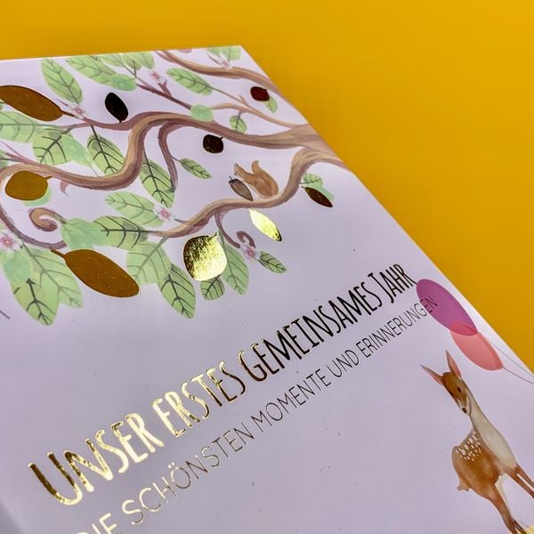 Produktbild: Babyalbum - UNSER ERSTES GEMEINSAMES JAHR (ros&eacute;)