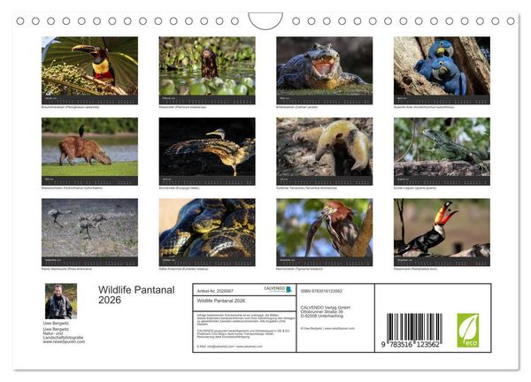 Produktbild: Wildlife Pantanal 2026 (Wandkalender 2026 DIN A4 quer), CALVENDO Monatskalender