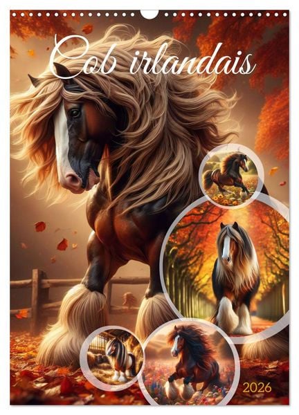Produktbild: Cob irlandais (Calendrier mural 2026 DIN A3 horizontal), CALVENDO calendrier mensuel