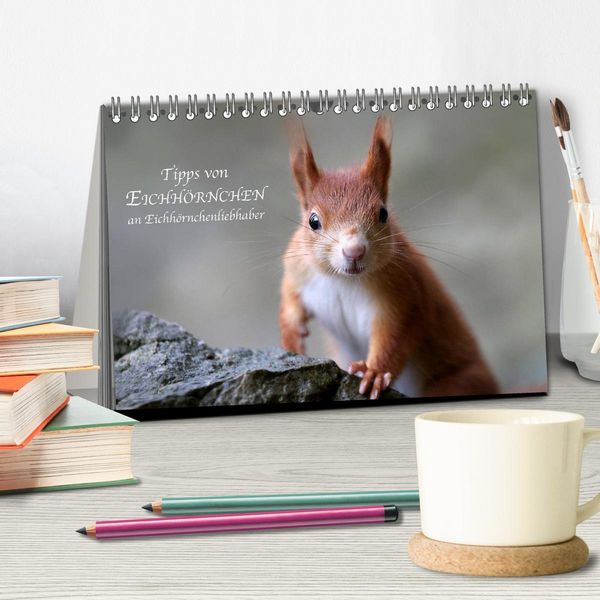 Produktbild: Tipps von Eichh&ouml;rnchen an Eichh&ouml;rnchenliebhaber (Tischkalender 2026 DIN A5 quer), CALVENDO Monatskalender