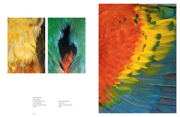 Produktbild: Vogelwelten