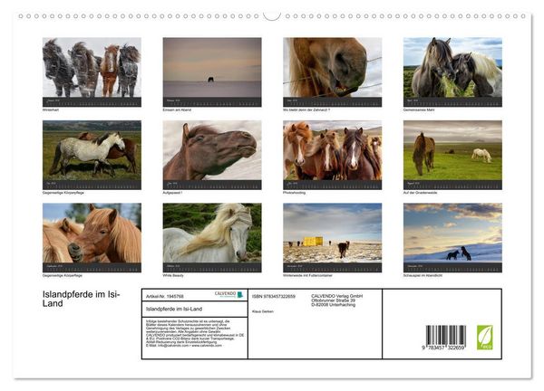 Produktbild: Islandpferde im Isi-Land (hochwertiger Premium Wandkalender 2026 DIN A2 quer), Kunstdruck in Hochglanz