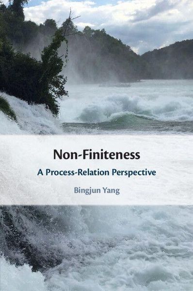 Produktbild: Non-Finiteness