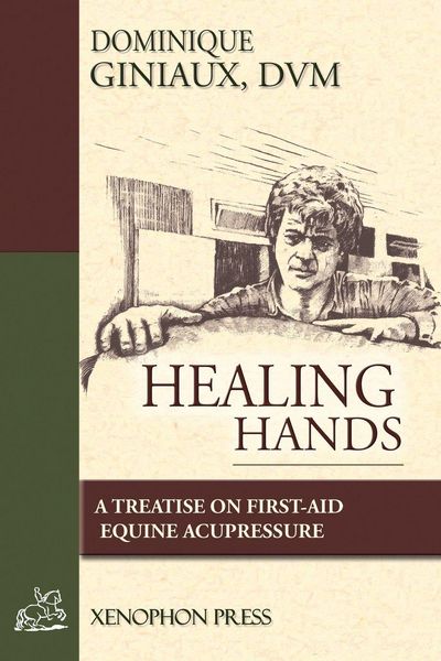 Produktbild: Healing Hands