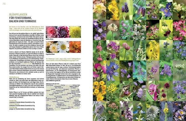 Produktbild: Wildbienenhelfer