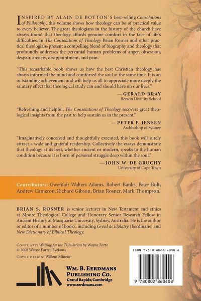 Produktbild: The Consolations of Theology