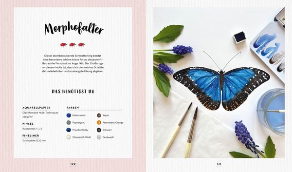 Produktbild: Watercolor Wald und Wiese