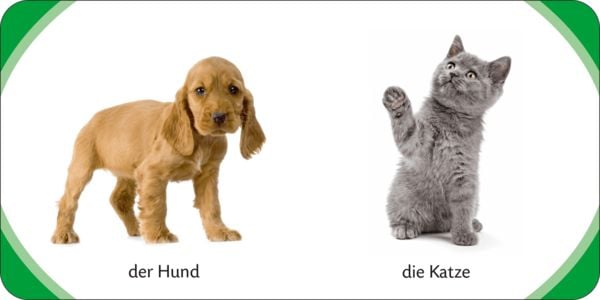 Produktbild: Duden 12+: Kennst du das? Meine bunte Kinderwelt (W&uuml;rfel)