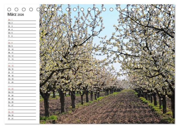 Produktbild: Vier Jahreszeiten im Land Brandenburg (Tischkalender 2026 DIN A5 quer), CALVENDO Monatskalender