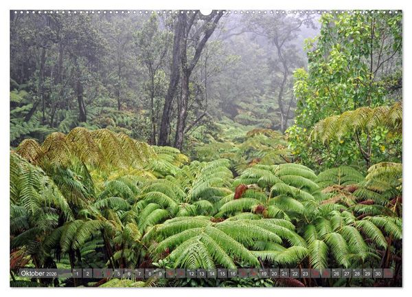 Produktbild: The Big Island of Hawaii (hochwertiger Premium Wandkalender 2026 DIN A2 quer), Kunstdruck in Hochglanz