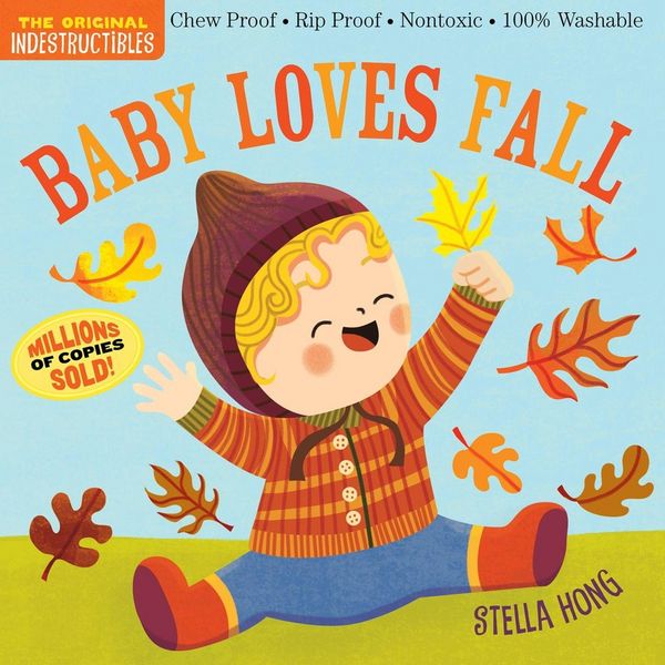 Produktbild: Indestructibles: Baby Loves Fall