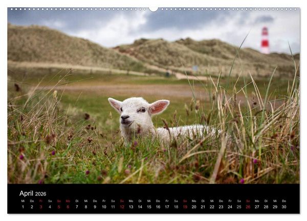 Produktbild: SYLT hinter den D&uuml;nen (hochwertiger Premium Wandkalender 2026 DIN A2 quer), Kunstdruck in Hochglanz