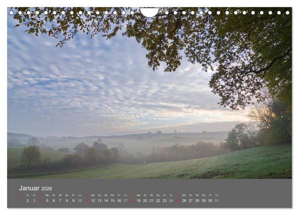 Produktbild: B&auml;ume (Wandkalender 2026 DIN A4 quer), CALVENDO Monatskalender