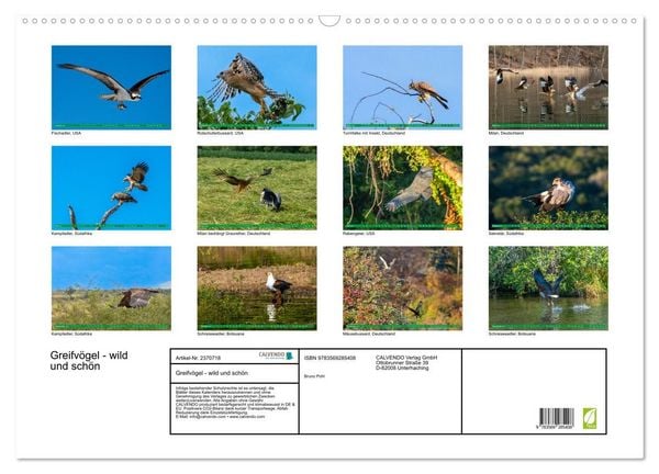 Produktbild: Greifv&ouml;gel - wild und sch&ouml;n (Wandkalender 2027 DIN A2 quer), CALVENDO Monatskalender