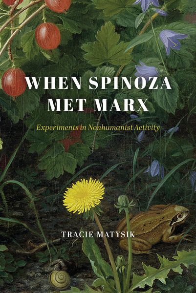 Produktbild: When Spinoza Met Marx