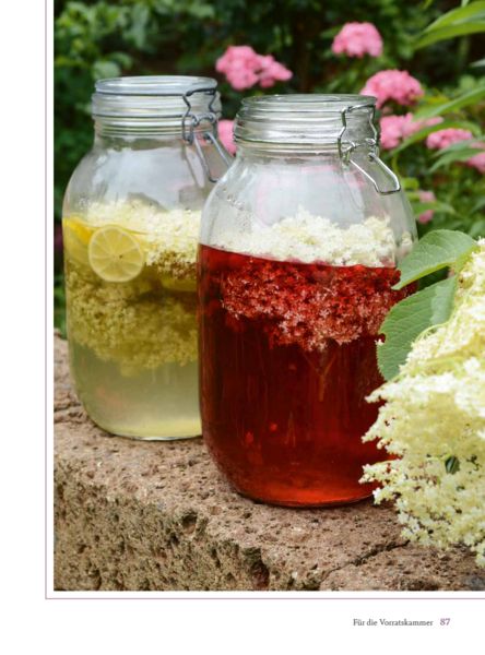 Produktbild: Mit Holunder durchs Jahr