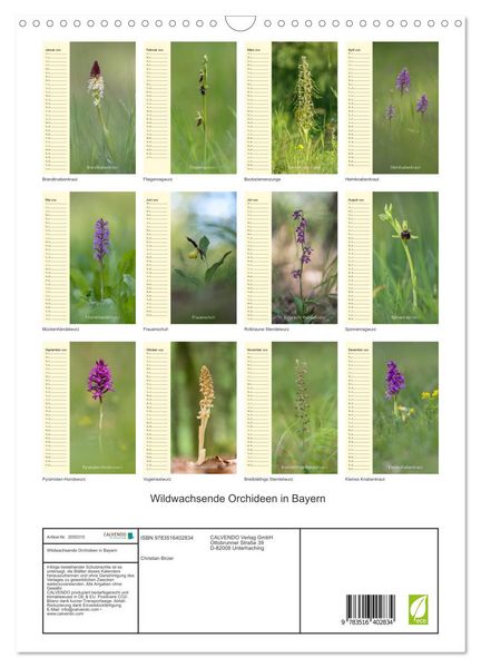 Produktbild: Wildwachsende Orchideen in Bayern (Wandkalender 2026 DIN A3 hoch), CALVENDO Monatskalender