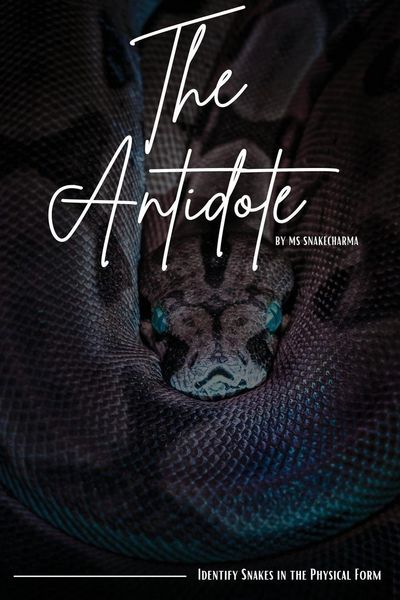 Produktbild: The Antidote