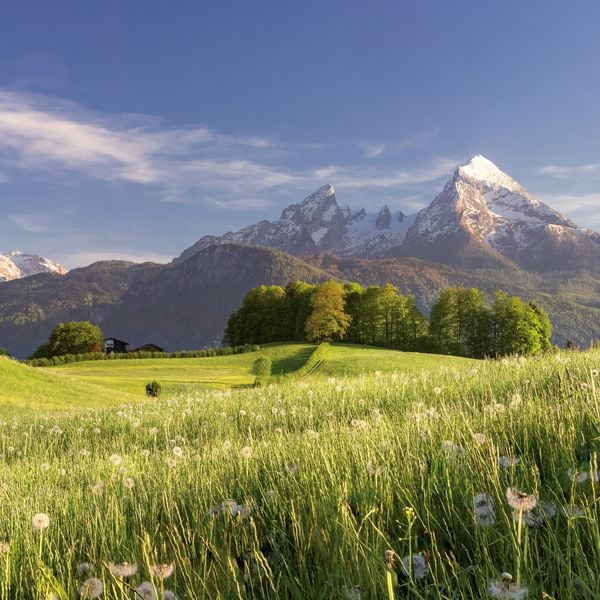 Produktbild: Alpen / Alps 2027