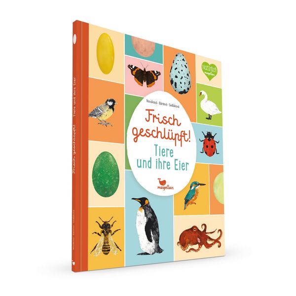 Produktbild: Frisch geschl&uuml;pft! - Tiere und ihre Eier