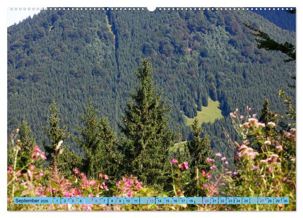 Produktbild: Sch&ouml;ner Forggensee (hochwertiger Premium Wandkalender 2026 DIN A2 quer), Kunstdruck in Hochglanz