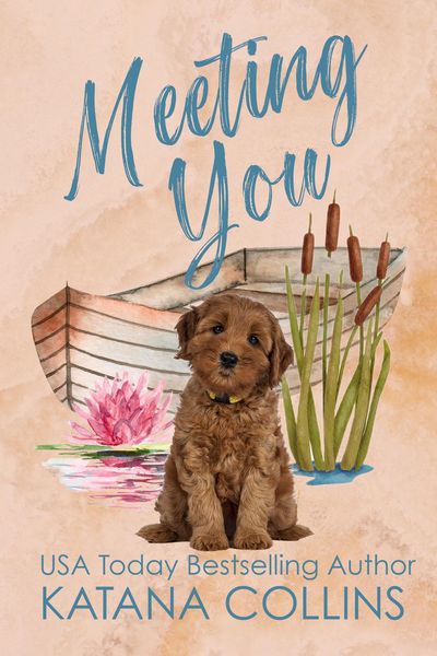 Produktbild: Meeting You