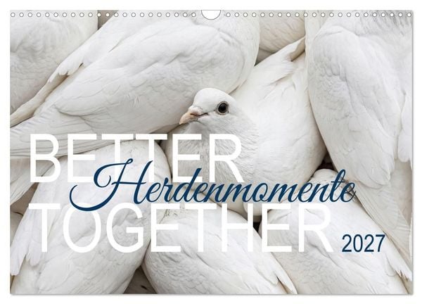 Produktbild: Better Together - Herdenmomente (Wandkalender 2027 DIN A3 quer), CALVENDO Monatskalender